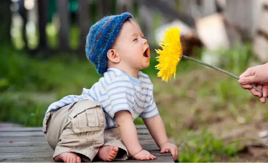 Tích phước để sinh con trai có thật không?